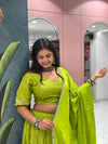 Lime Radiance  Lehenga Set